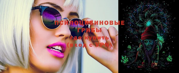 дурь Алексеевка