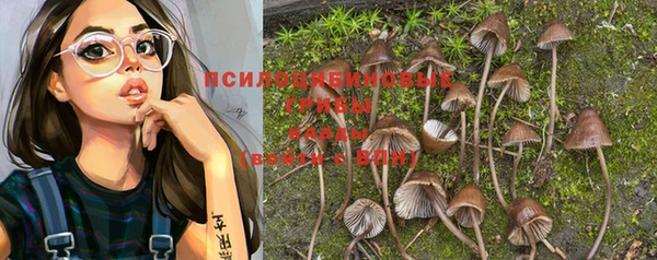 дурь Алексеевка