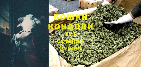 индика Заволжье