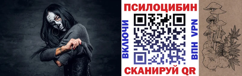 МЕГА сайт  Арзамас  Галлюциногенные грибы мицелий  цена наркотик 