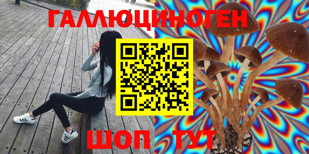 Псилоцибиновые грибы Psilocybe Арзамас