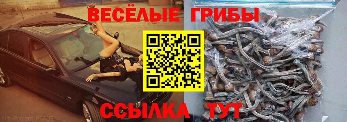 Галлюциногенные грибы Magic Shrooms  Псилоцибиновые грибы Magic Shrooms  Арзамас  Вход с VPN 